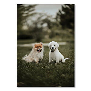 Ahşap Tablo Çayırdaki Yavru Köpekler 50x70 cm