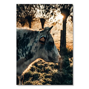 Ahşap Tablo Güneş Işıkları Ağaçlar Ve İnek 50x70 cm