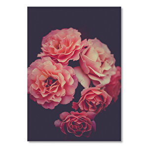 Ahşap Tablo Pembe Çiçekler Karanlık Arkaplan 35x50 cm