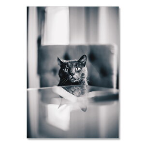 Ahşap Tablo Cam Masa Ve Siyah Kedi 50x70 cm