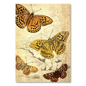 Eski Sarı Renkli Kelebekler Görseli 25x35 cm
