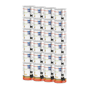 Somon Balıklı Yetişkin Kedi Konserve 400grx24
