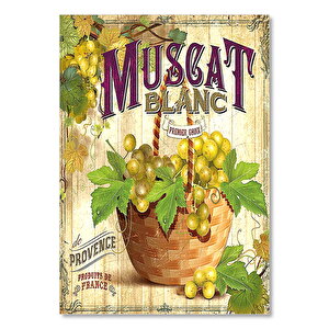 Muscat Beyaz Üzümleri Afişi Görseli 25x35 cm