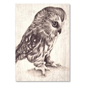Siyah Bayaz Düşünen Baykuş Görseli 50x70 cm