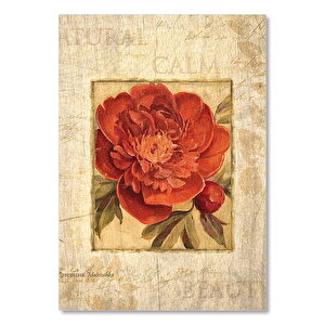 Tomurcuklu Kırmızı Gül Ahşap Zeminde Görseli 25x35 cm