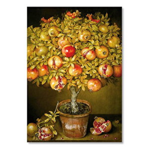 Saksıdaki Olgun Narlar Görseli 25x35 cm