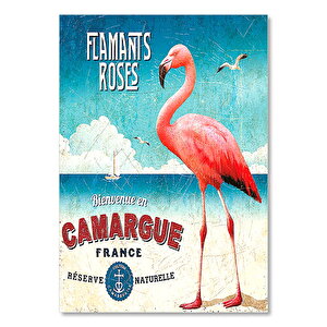 Camargue Filamingolar Görseli 25x35 cm
