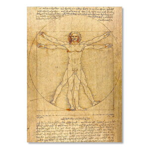 Leonardo Da Vinci İnsan Anatomisi Görseli    Ahşap Mdf Tablo 35x50 cm