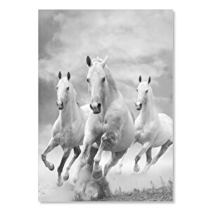 Doğada Koşan Üçlü Atlar Görseli  Ahşap Mdf Tablo 50x70 cm
