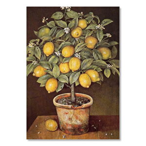 Saksıda Limon Ağacı Resm Görseli  Ahşap Mdf Tablo 50x70 cm