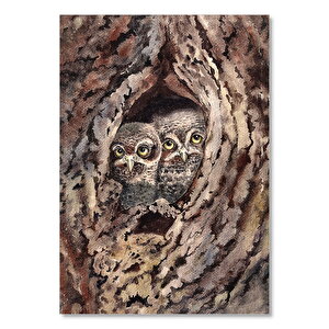 Ağaç Kovuğundaki Baykuşların Görseli  Ahşap Mdf Tablo 50x70 cm