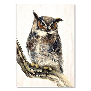 Daldaki Baykuş Görseli  Ahşap Mdf Tablo 50x70 cm