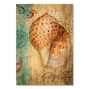 Eski Zeminde Pusula Deniz Kabuğu Görseli  Ahşap Mdf Tablo 35x50 cm