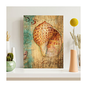 Eski Zeminde Pusula Deniz Kabuğu Görseli  Ahşap Mdf Tablo 35x50 cm
