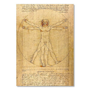 Leonardo Da Vinci İnsan Anatomisi Görseli  Ahşap Mdf Tablo 50x70 cm