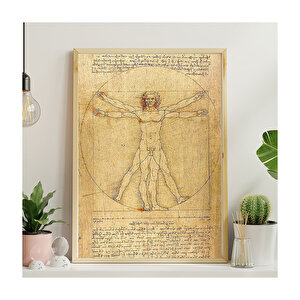 Leonardo Da Vinci İnsan Anatomisi Görseli  Ahşap Mdf Tablo 50x70 cm