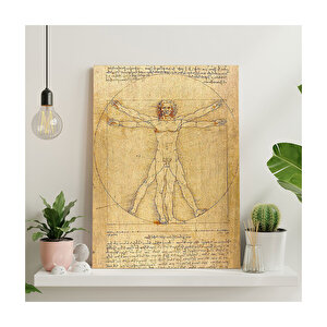 Leonardo Da Vinci İnsan Anatomisi Görseli  Ahşap Mdf Tablo 50x70 cm