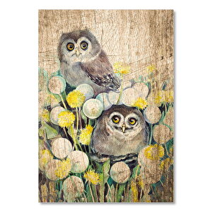Eski Zeminde Karahindiba Çiçeği Baykuşlar Görseli  Ahşap Mdf Tablo 50x70 cm