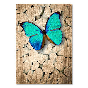 Eski Zeminde Beyaz Çakıl Taşları Üstünde Mavi Kelebek Görseli  Ahşap Mdf Tablo 50x70 cm