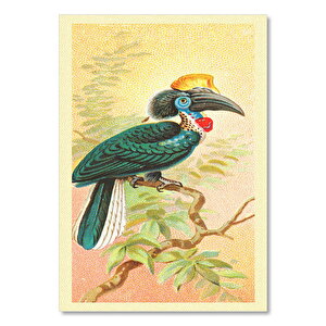 Sarı Casque Siyah Hornbill Kuş Görsli 35x50 cm