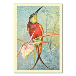 Crimson Topaz Kuş Görseli 35x50 cm