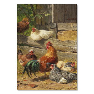 Kümeste Tavuklar Ve Horoz Görseli 25x35 cm