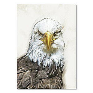 Prizma Özellikli Sarı Gagalı Kartal 50x70 cm