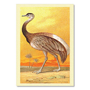 Rhea Kuş Görseli 25x35 cm