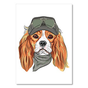Şapkalı Fılarlı Gözlüklü Köpek Görseli 35x50 cm
