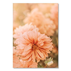 Soluk Pembe Renkli Çiçekler Yakın Çekim 25x35 cm