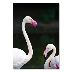 Büyük Küçük Flamingolar Görseli 25x35 cm