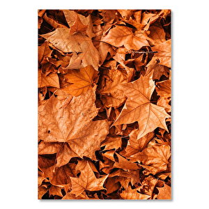 Yerde Kuru Sonbahar Yaprakları 50x70 cm