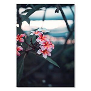 Pembe Plumeria Çiçekleri Flu Arka Plan 35x50 cm