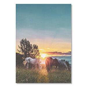 Gün Batımında Çayırda Otlayan Atlar 25x35 cm