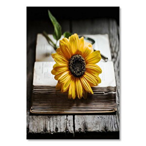 Açık Eski Kitap Ve Günebakan Çiçeği 35x50 cm