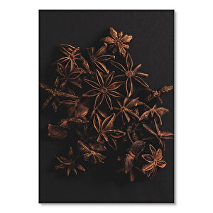 Anason Çiçekleri Karanlık Arka Plan 25x35 cm