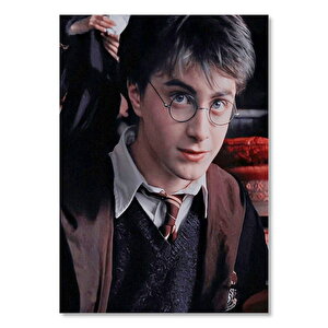 Harry Potter 25x35 cm