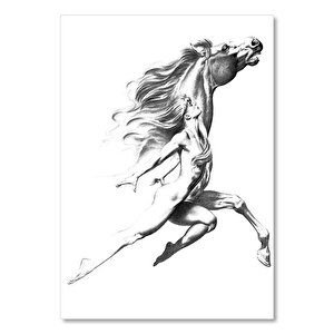 Kadın At Gri Ton Görsel 50x70 cm