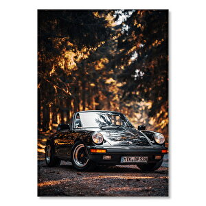 Porsche 911 Cabrio Ve Orman Yolu 35x50 cm