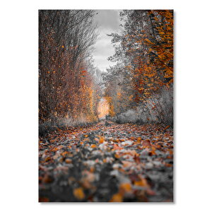 Yerde Sonbahar Yaprakları Ve Kızıl Ağaçlar 50x70 cm
