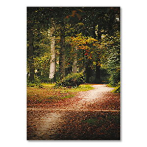 Sonbahar Yaprakları Patika Ve Sık Orman 50x70 cm