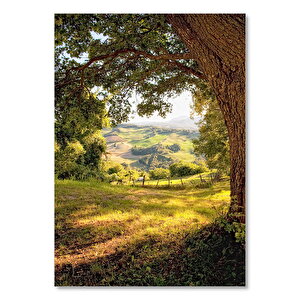 Koyu Gölgeli Ağaç Ve Arka Planda Tepeler 35x50 cm