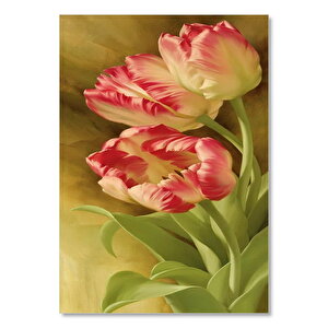 Yeşil Yapraklı Kırmızı Beyaz Tulip Çiçekleri 35x50 cm