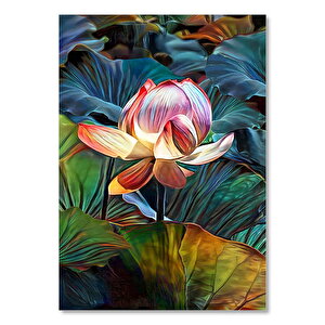 Lotus Çiçeği Ve Dev Yaprakları
