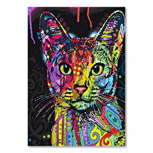 Renklerin Dansı Kedi Yüzü 35x50 cm