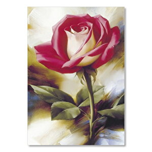 Beyaz Kalpli Kırmızı Gül 25x35 cm