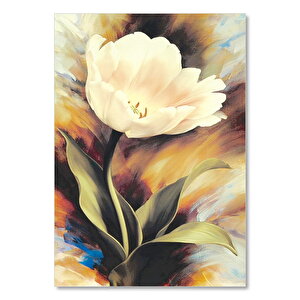 Beyaz Zambak Rengarenk Arka Plan 25x35 cm