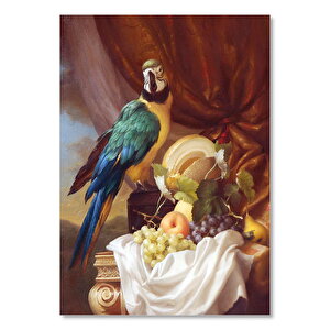 Macaw Papağanı Ve Taze Meyveler 35x50 cm