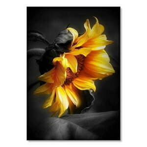 Günebakan Çiçeği Yakın Plan Yağlı Boya Efekt 35x50 cm