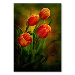 Kırmızı Laleler Loş Mod 50x70 cm